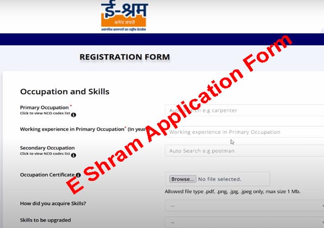 e shram application form pdf download