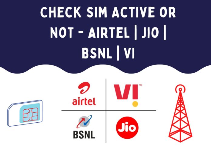 check sim active or not online