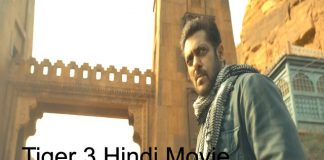 tiger 3 hindi full movie download
