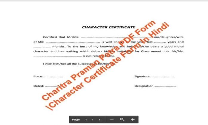 Charitra Praman Patra PDF Form Preview