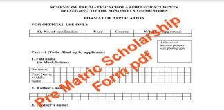 Pre Matric Scholarship Form pdf